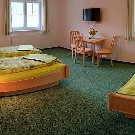 Maier 3*