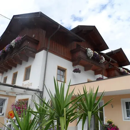 Alojamento de Acomodação e Pequeno-almoço Maier